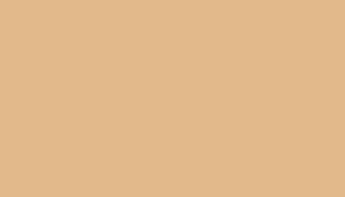 VW Volkswagen – LL1M – BASTBEIGE