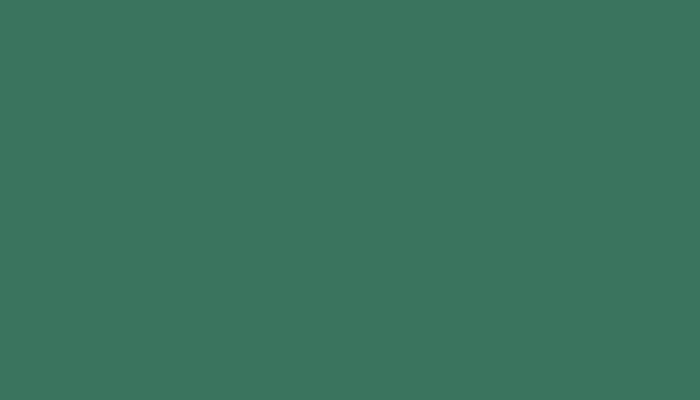 Volvo – S98745 – PATINA GREEN RAL6000-GL