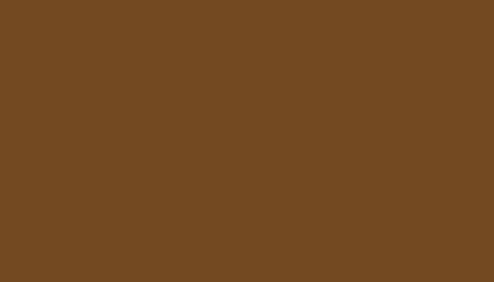 Volvo – S98635 – OLIVE BROWN RAL8008