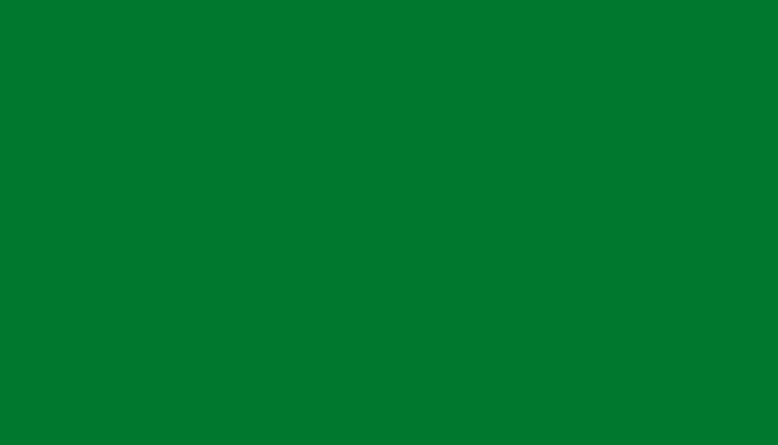 Volvo – S91447 – PRIME GREEN NCS 3065-G10Y