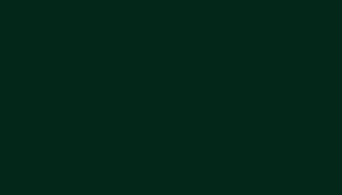Volvo – 1411 – DARK GREEN