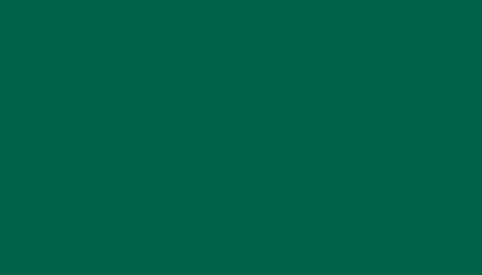 Volvo – 1416 – EMERALD GREEN