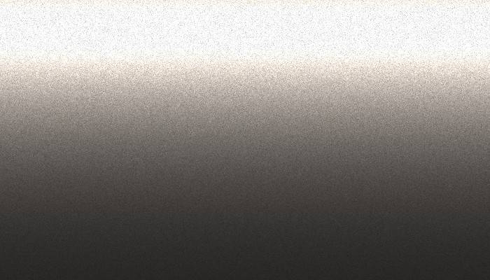 Nissan – 225 – GRAY