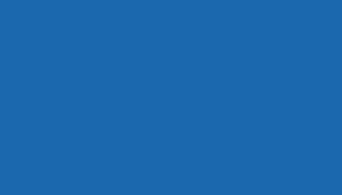 Nissan – 295 – BLUE