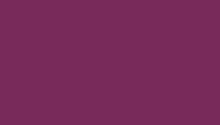 Mercedes Benz MB – 4522 – SETRA-VIOLETT