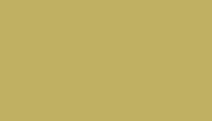 Nissan – EL2 – YELLOWISH GREEN
