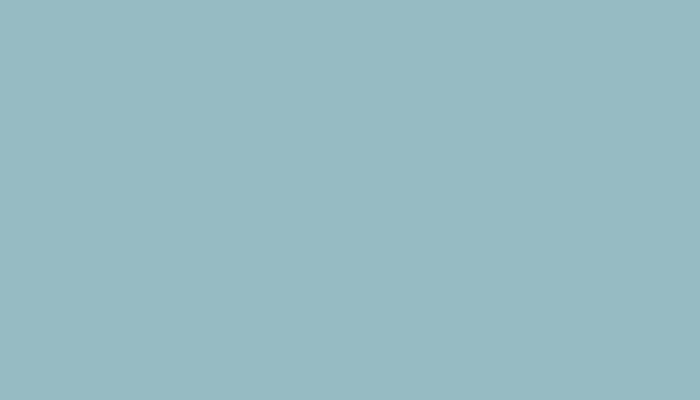 Nissan – 613 – LIGHT BLUE