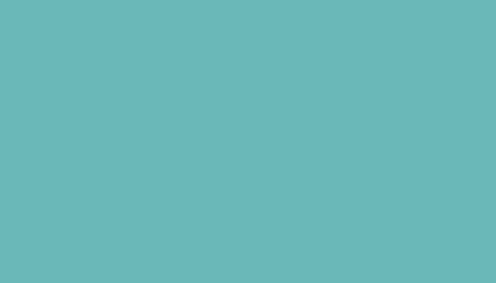 Nissan – 170/1 – NISSAN BLUE