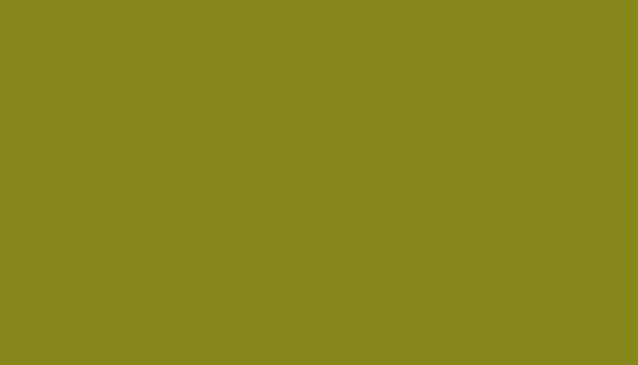 Nissan – 123 – GREEN