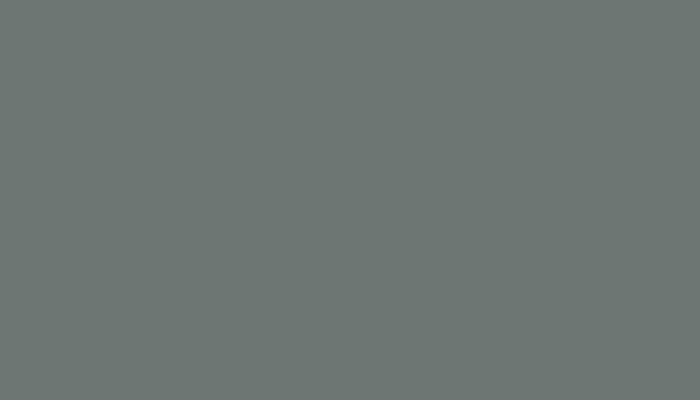 Nissan – 574 – BLUE GREY