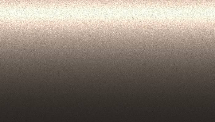 Nissan – CG3 – GRAYISH BROWN