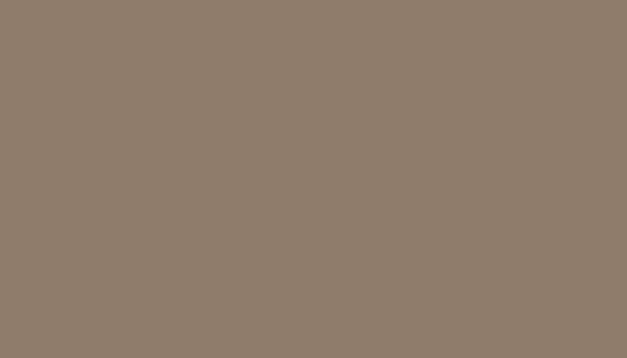 Nissan – 644 – BROWN