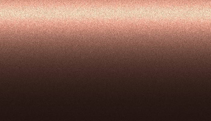 Nissan – 674 – FORMAL BROWN