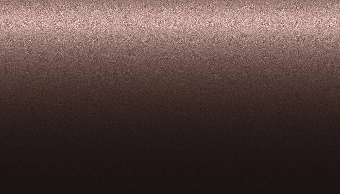 Nissan – 204 – DARK BROWN