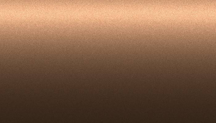 Nissan – 274 – BROWN