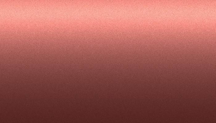 Nissan –  – PINOTAGE