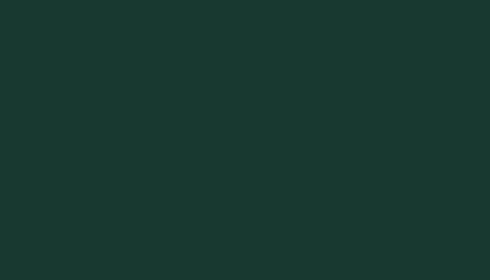 Lotus – L01 – BRITISH RACING GREEN
