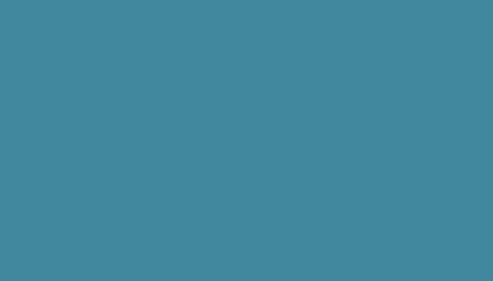 Fiat –  – CAPRI BLUE
