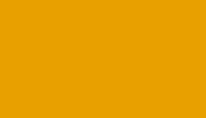 SEAT – LS1D – AMARILLO GINSTER