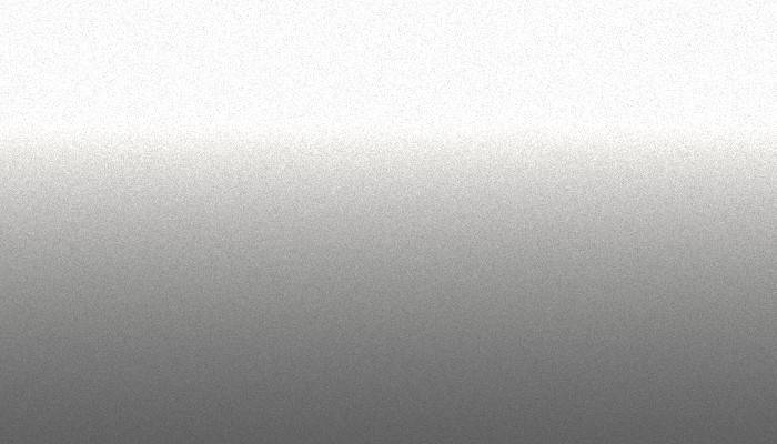 Honda – 835 – BRIGHT SILVER (USA)