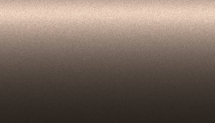 Honda – 661-840 – CITY BROWN