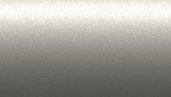 Aston Martin –  – SILVER BIRCH