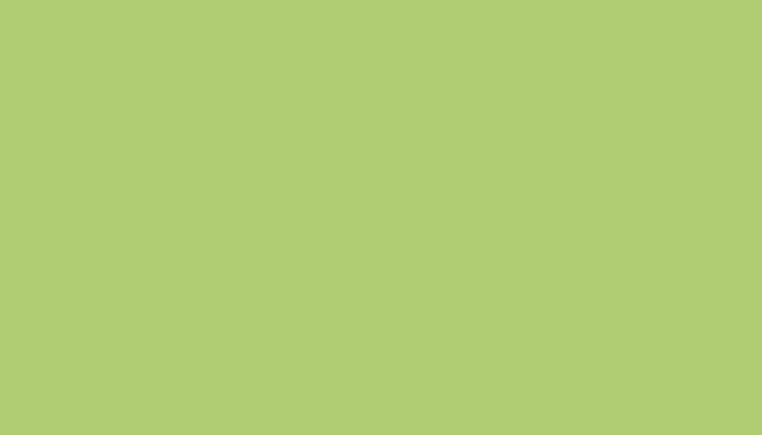 Porsche – 2D1 – LIGHT GREEN