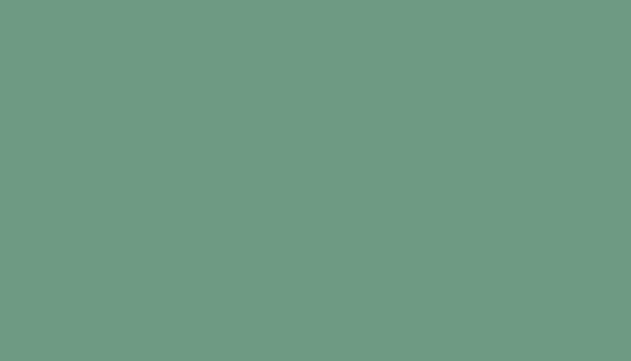 Rover – GN3 – PALM GREEN