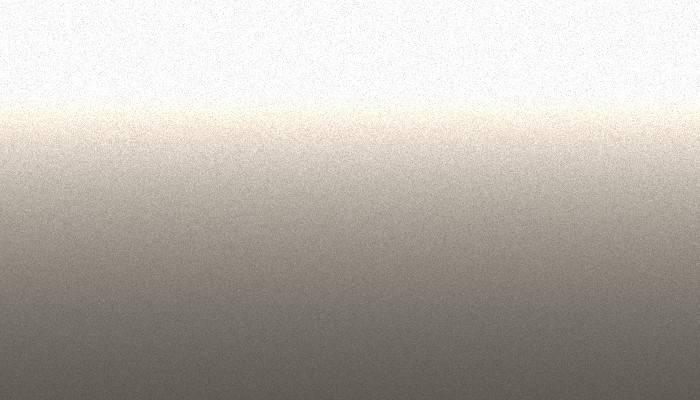 Toyota – S20 – WARM SILVER