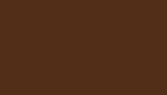 Triumph – AAE/205 – RUSSET BROWN