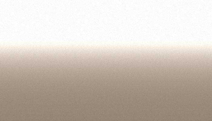 VW Volkswagen – L8050 – BRANCO NACAR PEROL.