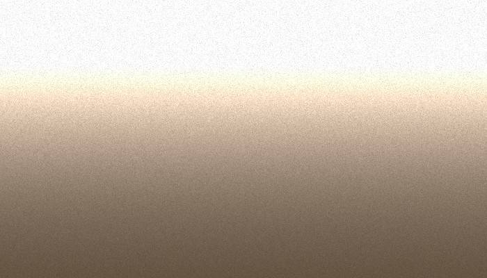 VW Volkswagen – 43 – CHAMPAGNE