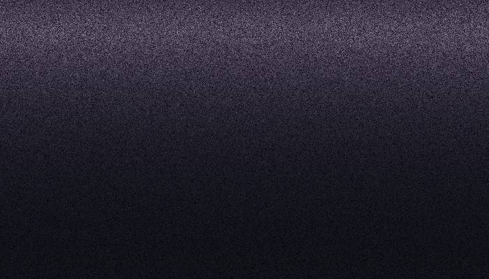 VW Volkswagen –  – VIOLETA FOX PEROL
