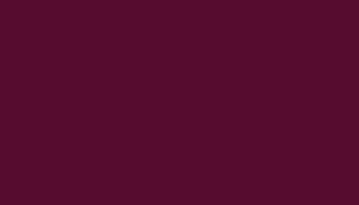 VW Volkswagen – LY4B – VIOLETT