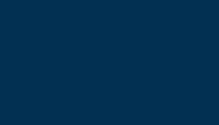 VW Volkswagen – L433 – BLAU (2C)