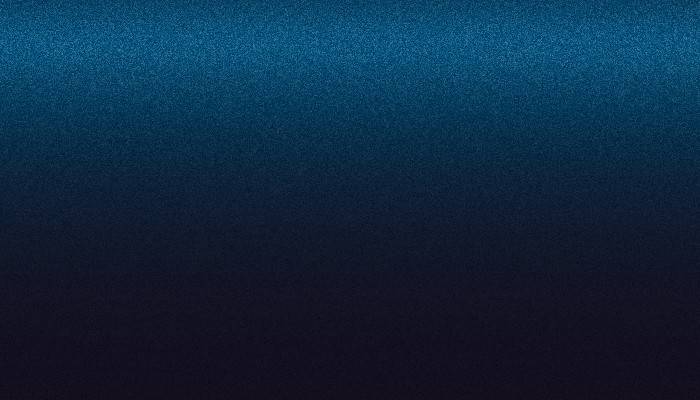 VW Volkswagen – LG5T – BATIKBLAU
