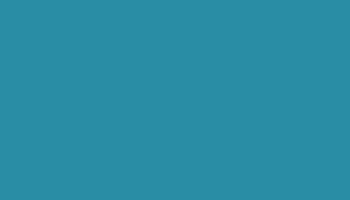 VW Volkswagen – LL5A – VAGOSBLAU