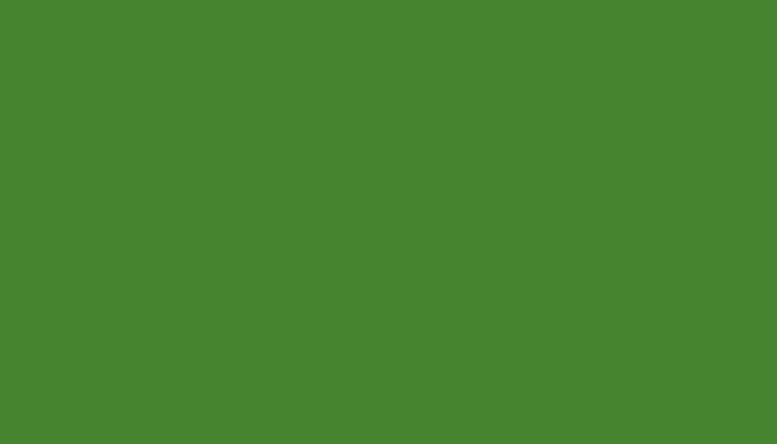 VW Volkswagen – LG6B – VERDE TROPICAL