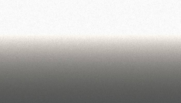 VW Volkswagen – LG9R – SILVER MIRROR  (MEX)