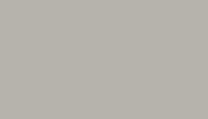 VW Volkswagen – LY7B – PASTELLGRAU