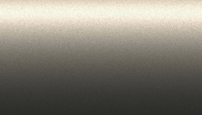 VW Volkswagen – L98G – PLATIN