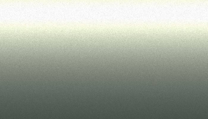 VW Volkswagen – 44 – SILVER PINE