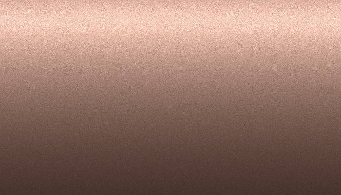 VW Volkswagen – 40 – ROSE