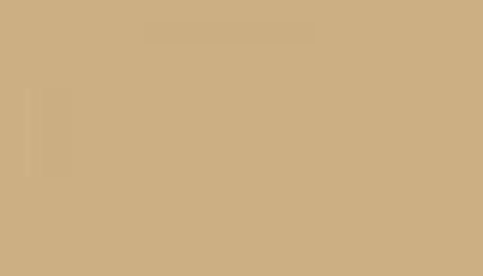 RAL – 1001-GL – BEIGE