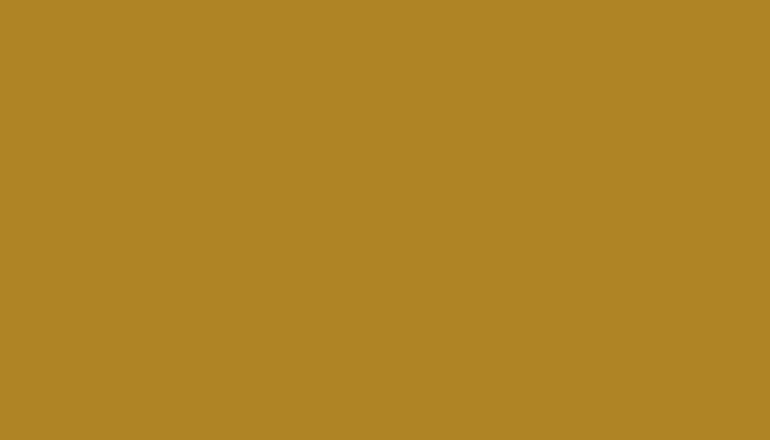 RAL – 1027-GL – CURRYGELB