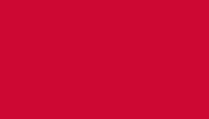 RAL – 3027-GL – HIMBEERROT