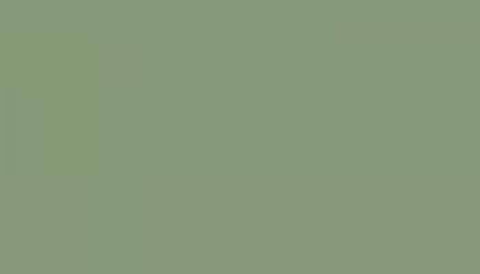 RAL – 6021-GL – BLASSGRUEN