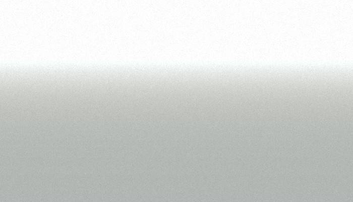 Suzuki – 909 – PEARL STILL WHITE