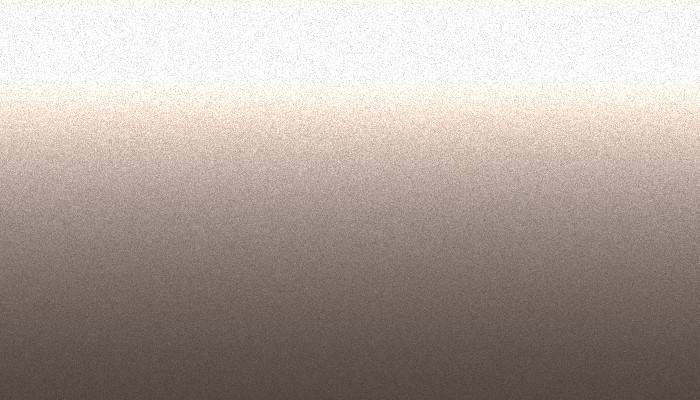 Ford –  – BRAZILIAN BRONZE