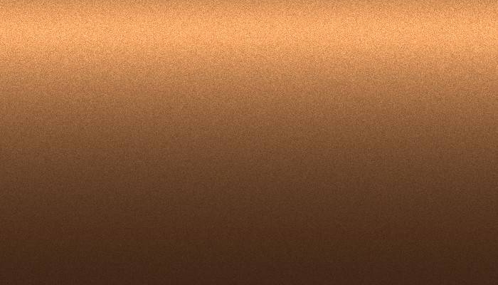 VW Volkswagen – LE8Y – INCA BROWN